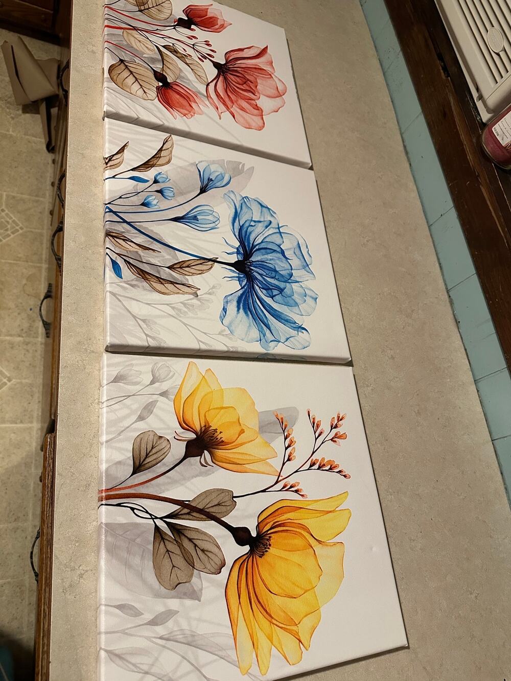 Modern 3 Piece X-Ray Floral Canvas Wall Art Set Red Blue Yellow Triptych 14x14